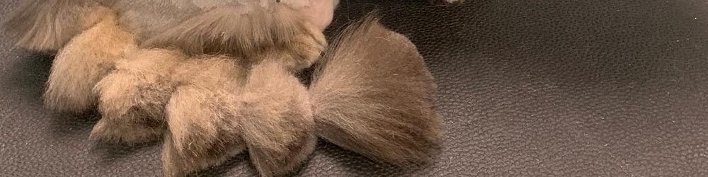 Tap to see big surprise