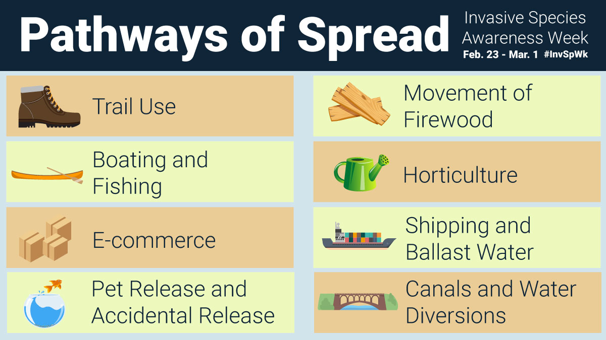 southnationca tweet media