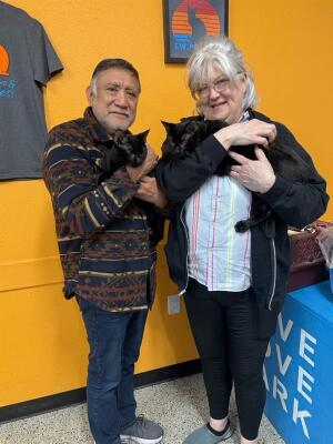 Spay Neuter Network tweet media