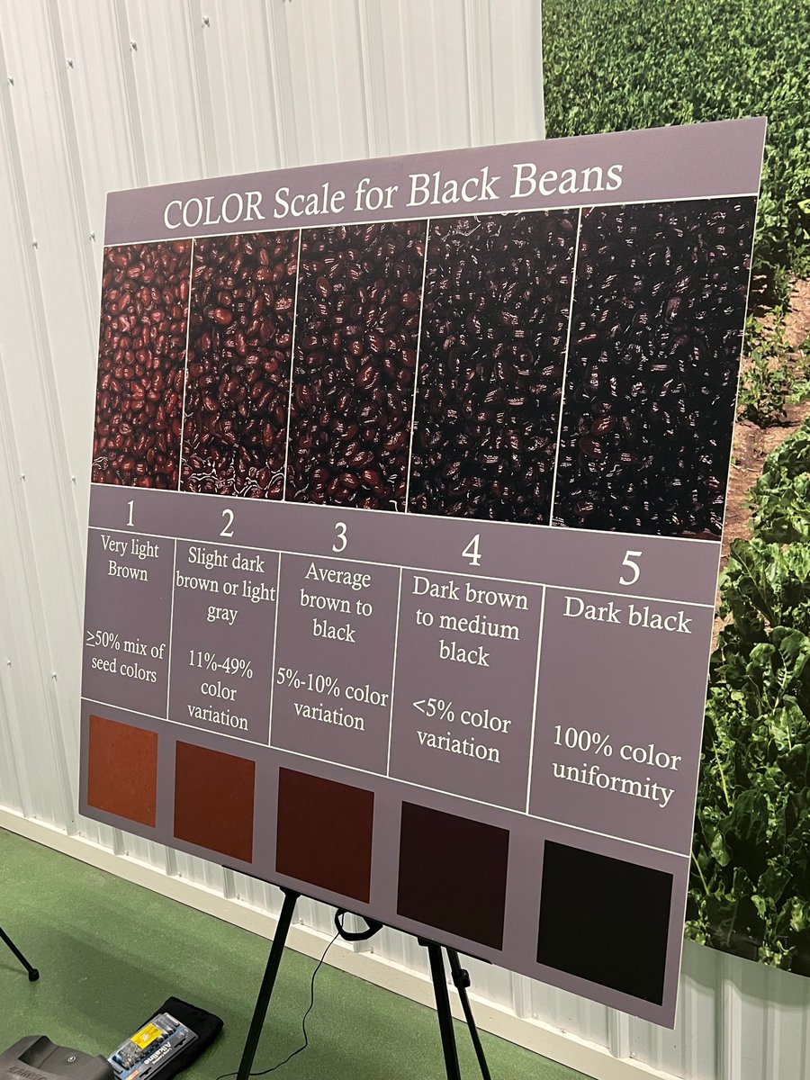 SOTWMilling's tweet photo. #TopNotchTuesday Michigan Bean Day showcased the strength of our dry bean industry through collaboration and innovation.
Proud of our team—especially Chaise Wilson for sharing a market outlook. Paired with ongoing canning trials, this work connects field to end use. https://t.co/qU9Jg1aLj9