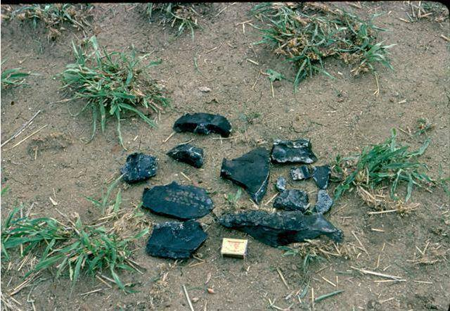 Andrew Hills tweet media