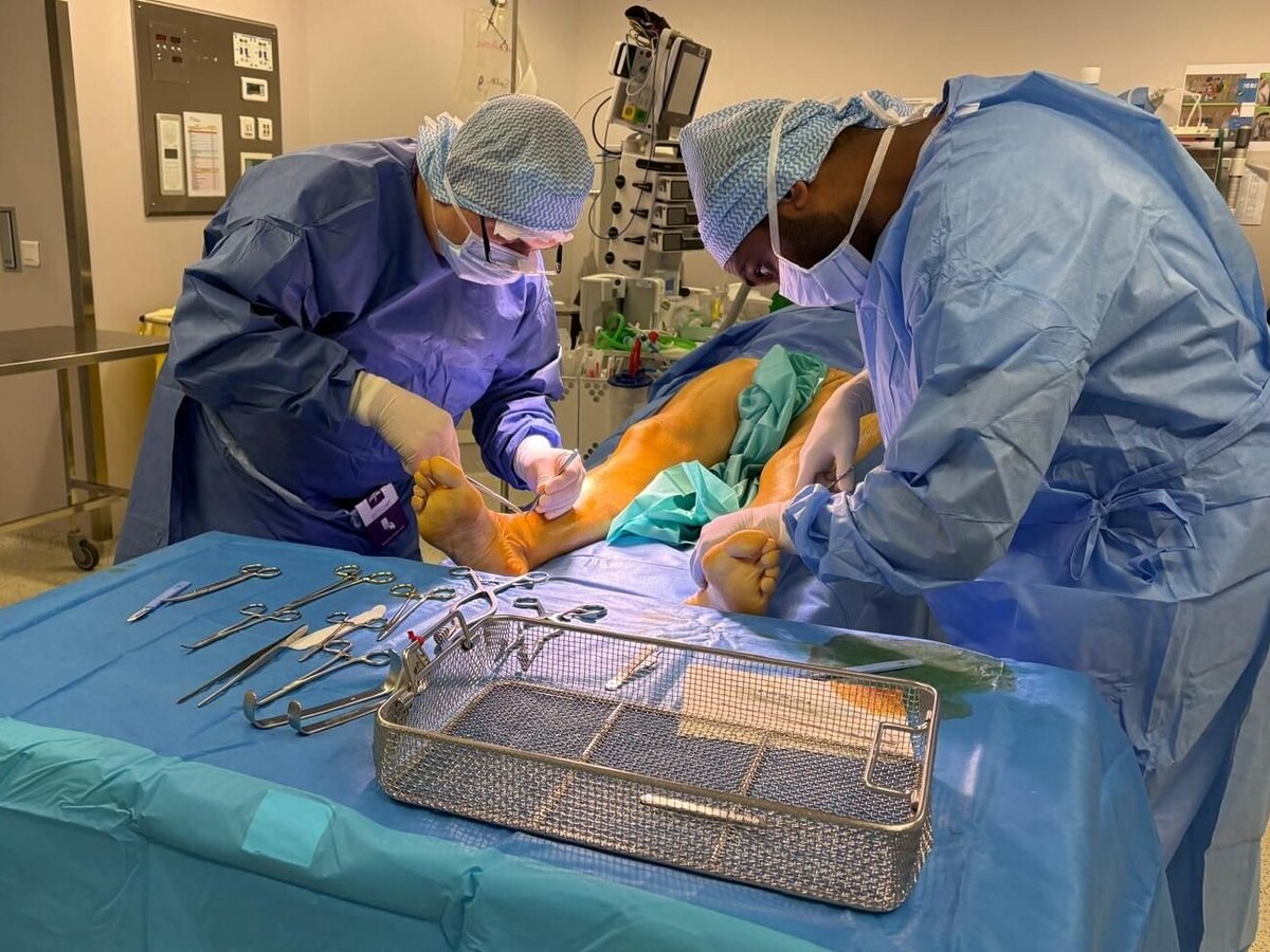 Le Parisien | 94 tweet media