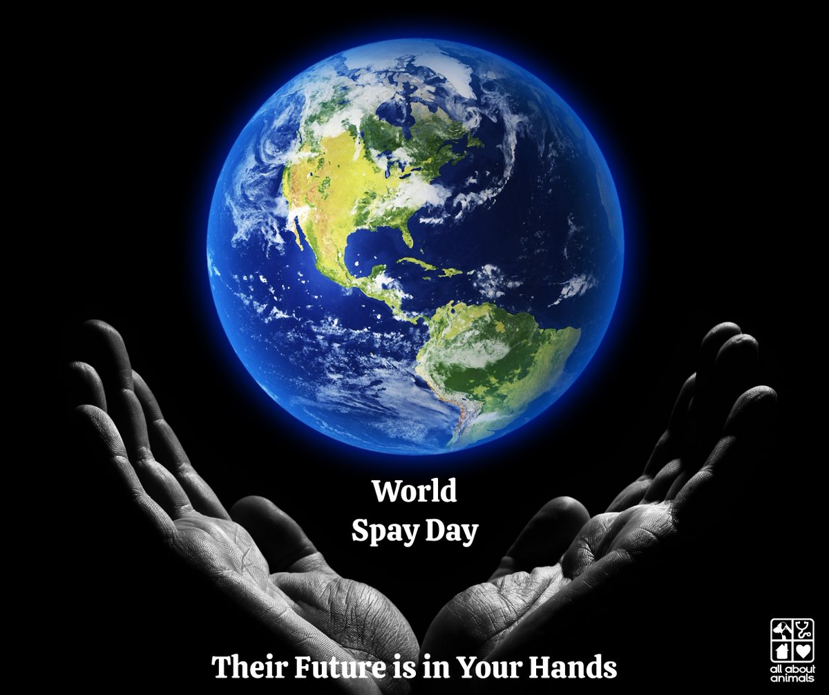 All About Animals tweet media