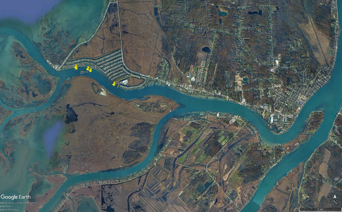 Andrew Briggs tweet media