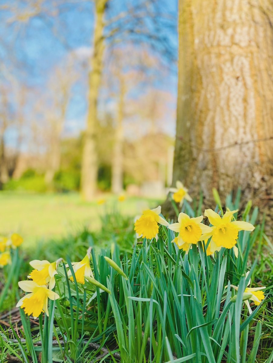 Liverpool Parks tweet media