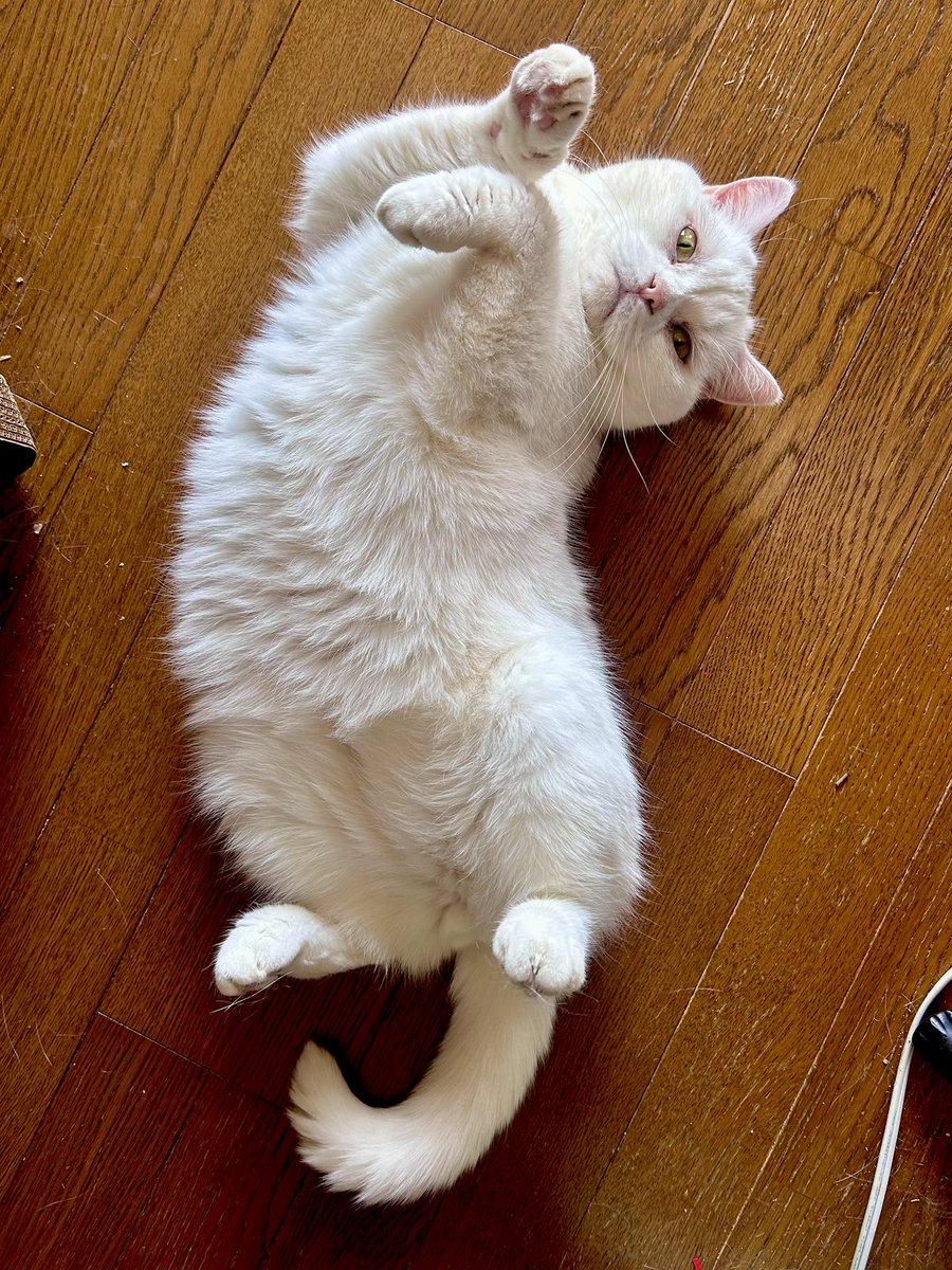 お疲れ様です✨ 少しずつでもいい 前を向いて踏み出せ！ オレは