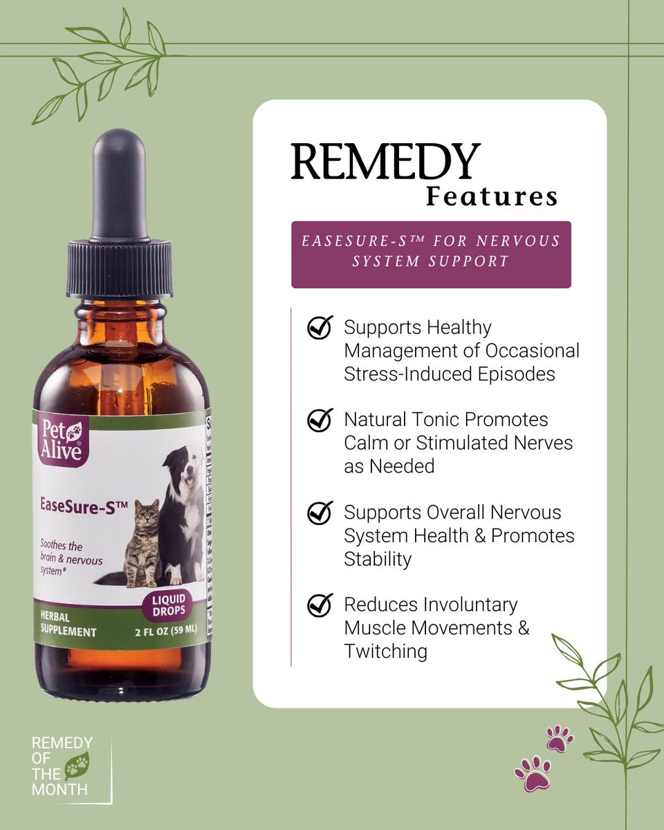 PetAlive tweet media