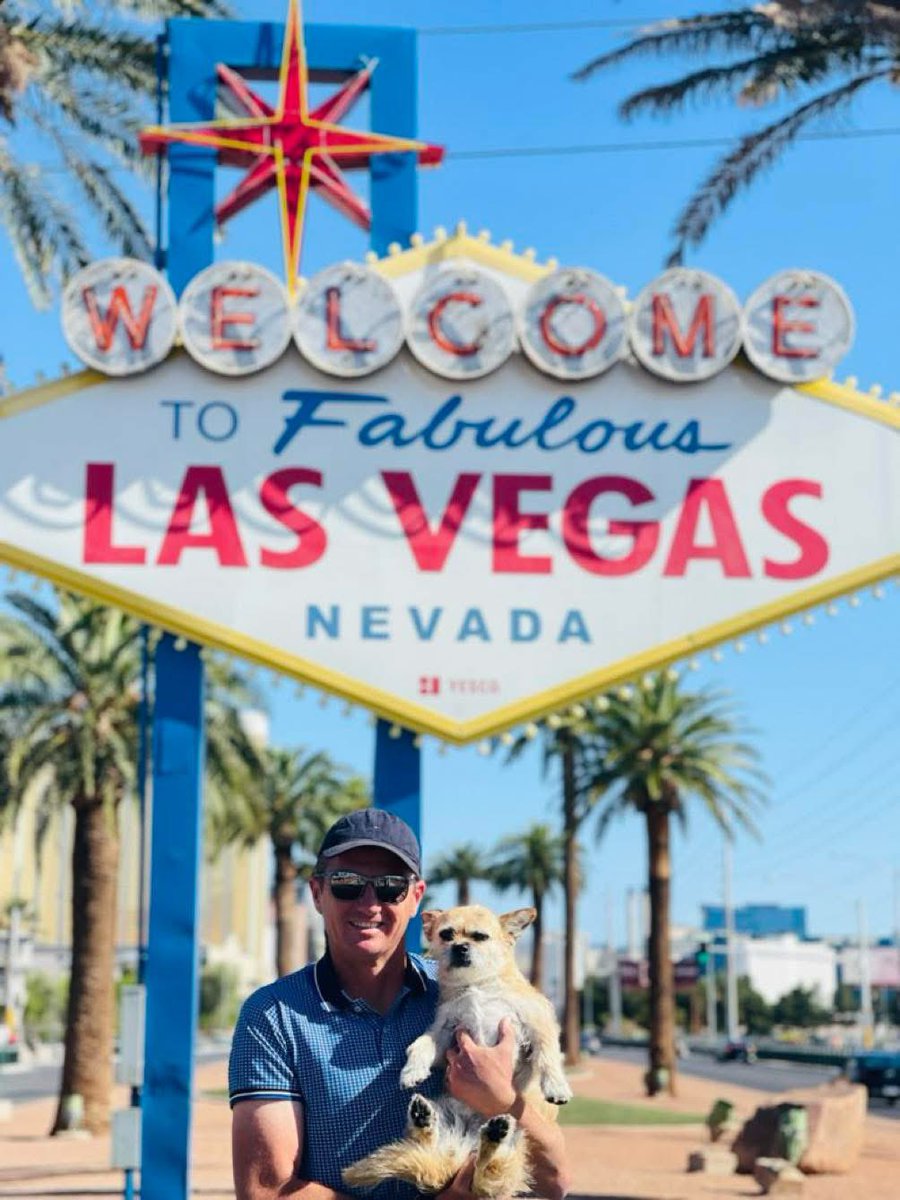 Finding Gobi tweet media