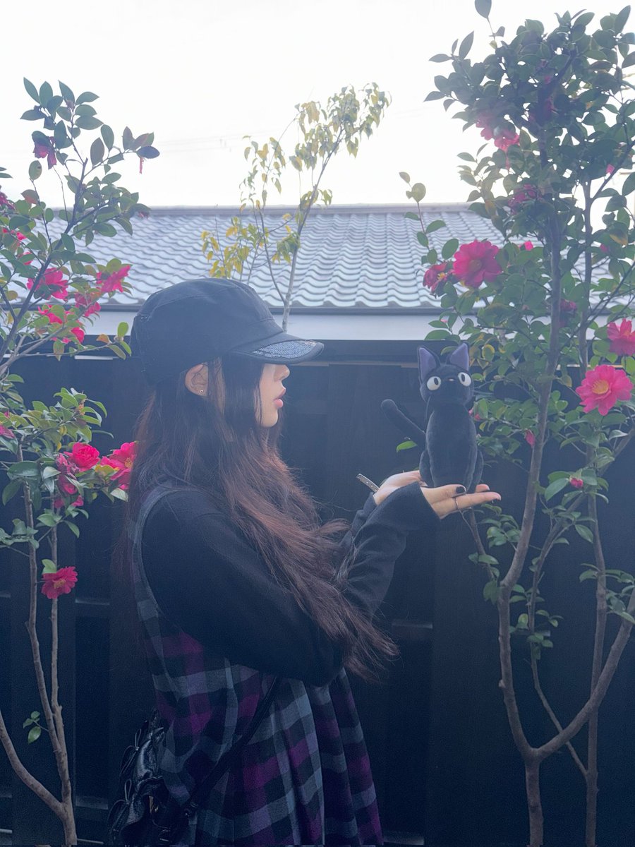 ILLIT WEVERSE tweet media