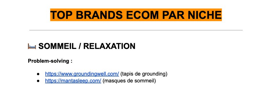 J’ai listé plus de 30 marques qui font +1M/Mois dont on s'inspire 

Regardez attentivement leur branding si vous voulez passer de simple boutique de drop à grosse marque

Grounding Well, The Oodie, Ridge, Asphalte, True Classic...

Toutes classées par niche + liens directs.