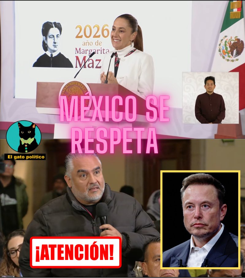 El gato político tweet media