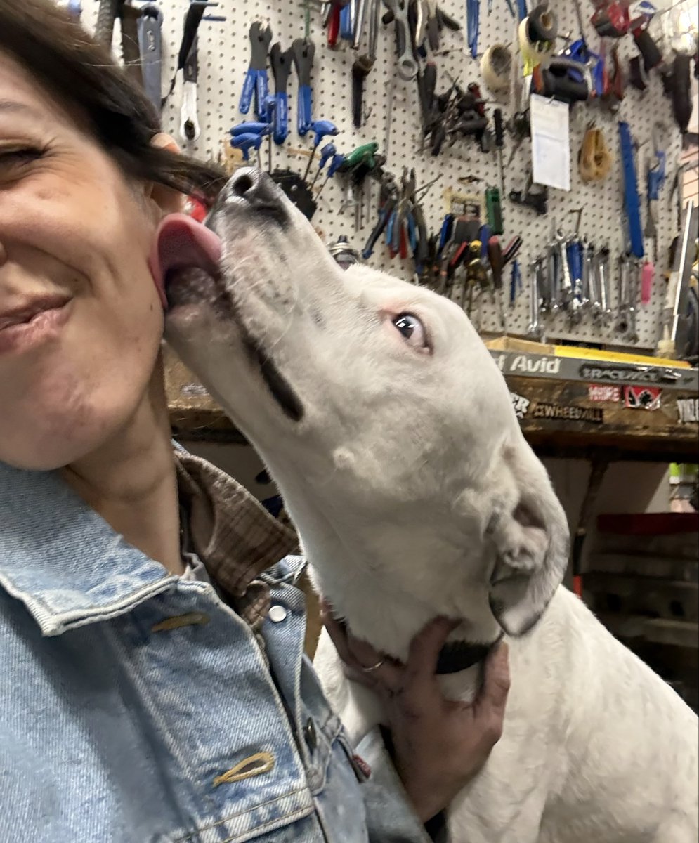 𝐄𝐦𝐳 tweet media