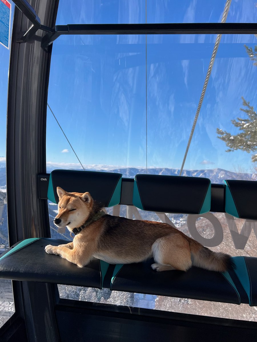 It was a good day see you all tomorrow 🐕 🏂 🇯🇵