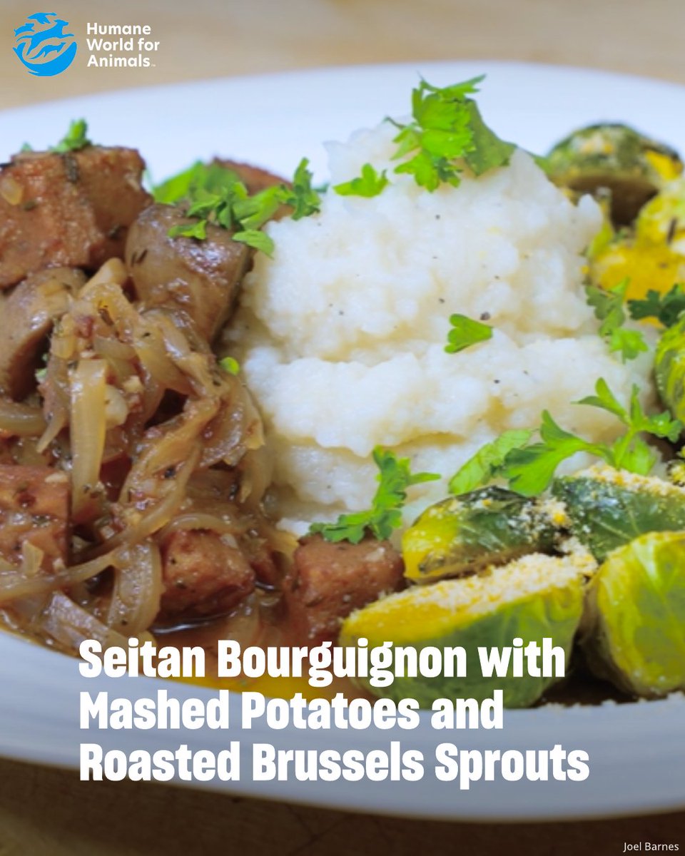 Humane World for Animals Canada tweet media