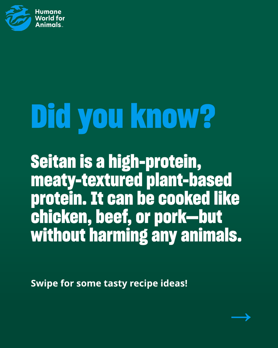 Humane World for Animals Canada tweet media