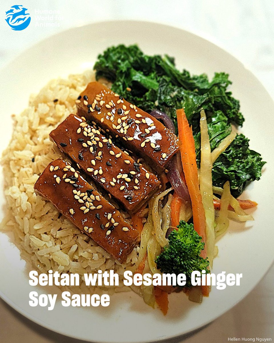 Humane World for Animals Canada tweet media