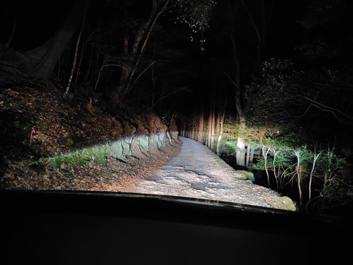 ごっすん@わーむーん tweet media