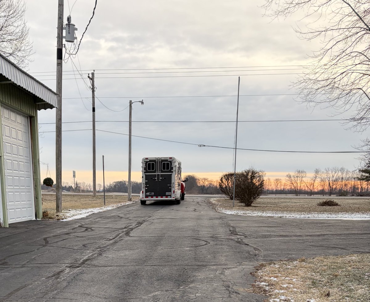 MiggyCavalier🌺SMP tweet media