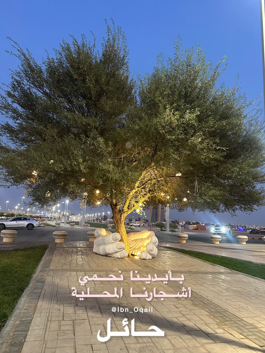 عبدالعزيز عبدالله العقيّل tweet media