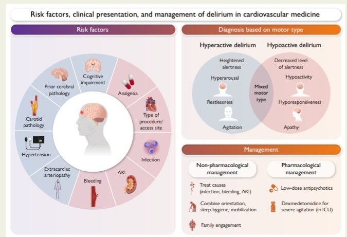 Abordaje y Manejo del Delirium en el Paciente Cardiovascular 😵‍💫🫀

🔰📚European Heart Journal 2026

doi.org/10.1093/eurhea…

Enlace a Articulo Completo👇🏼🆓✅
t.me/SoMELaguna
