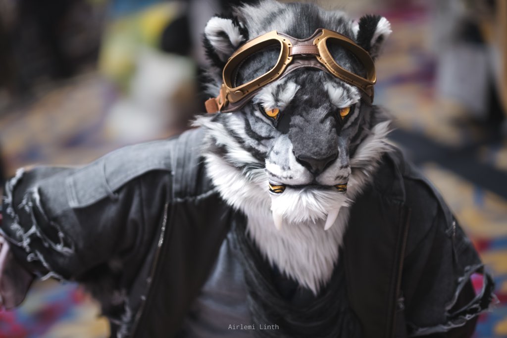 SHAN_JUN_'s tweet photo. Possessor：@MoreFast15
📷：@airlemi 

#山君工坊 #FursuitFriday #FursuitEverday #realisticfursuit #furryart #fursuit https://t.co/ZGwPXlP1yv