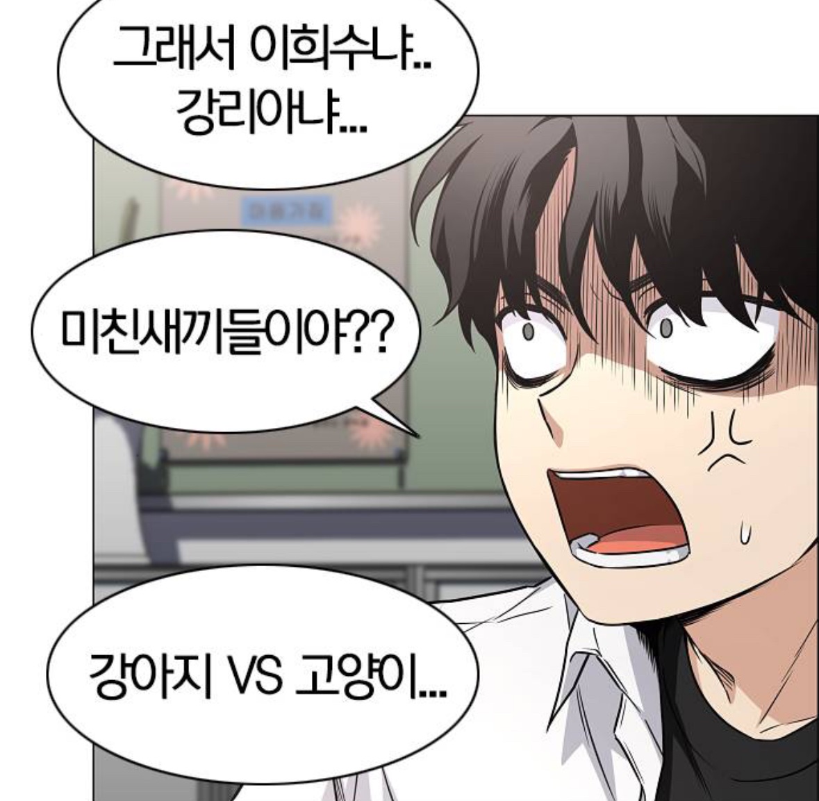 콩보리 tweet media