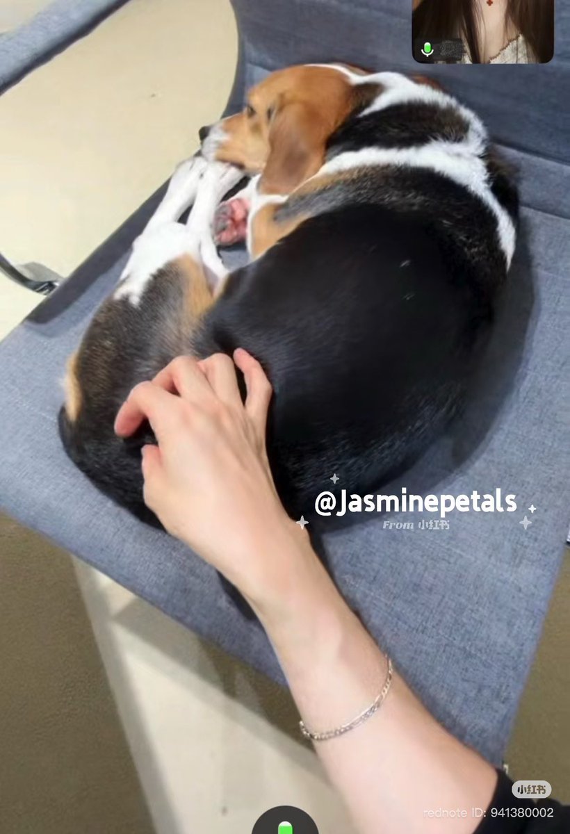 XIAOJUNTEAM's tweet photo. Princess bella is working very hard rn

©️ctto
#PrincessBella #XIAOJUN #샤오쥔 #肖俊 https://t.co/t3oCimNm61