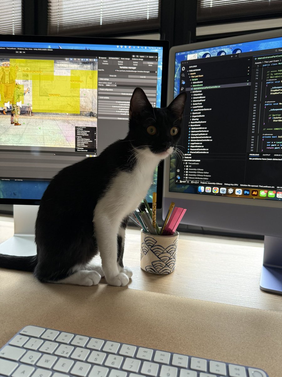 Neslihan - The Last Exam tweet media