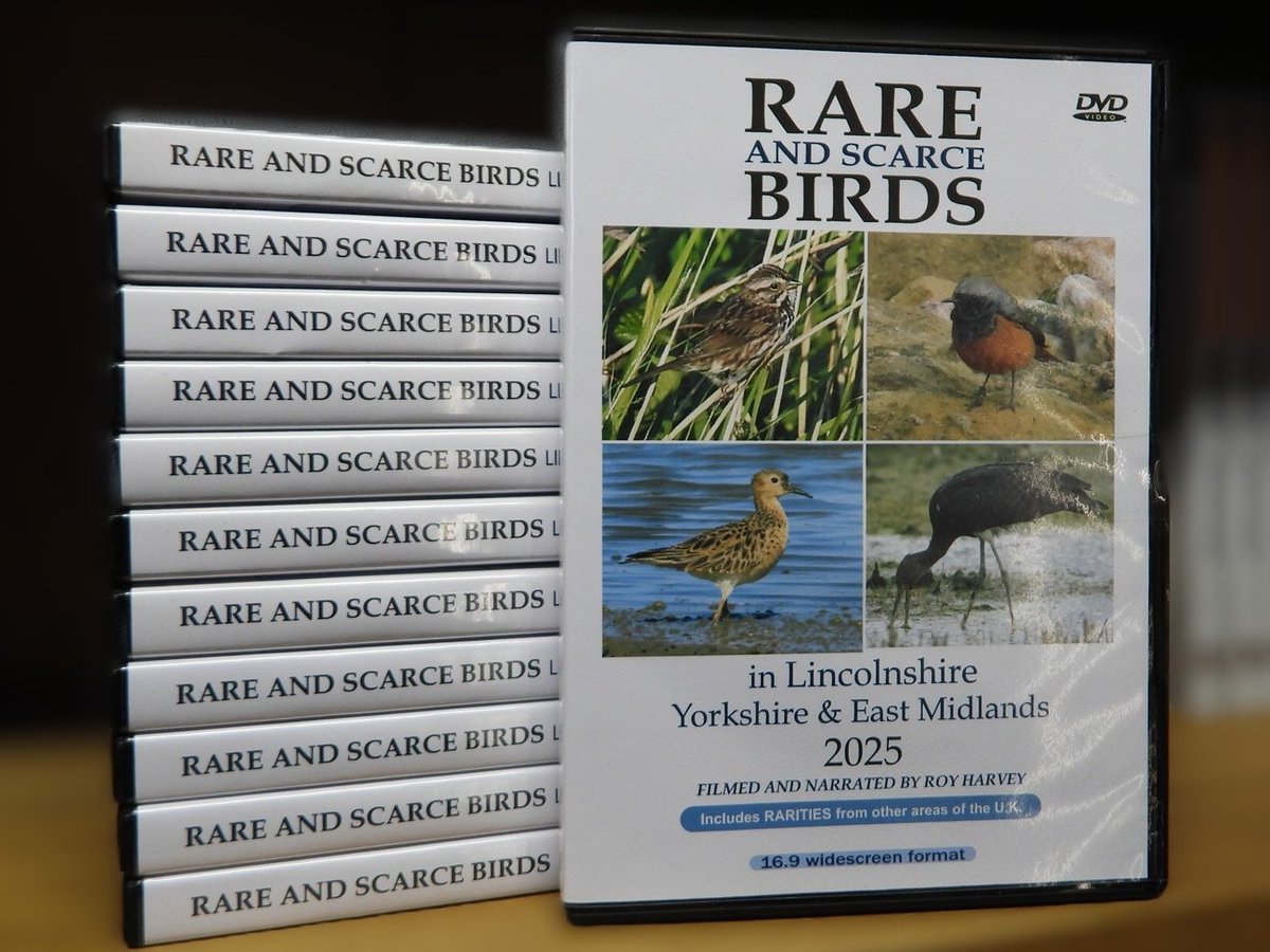 THE BIRDER'S STORE tweet media