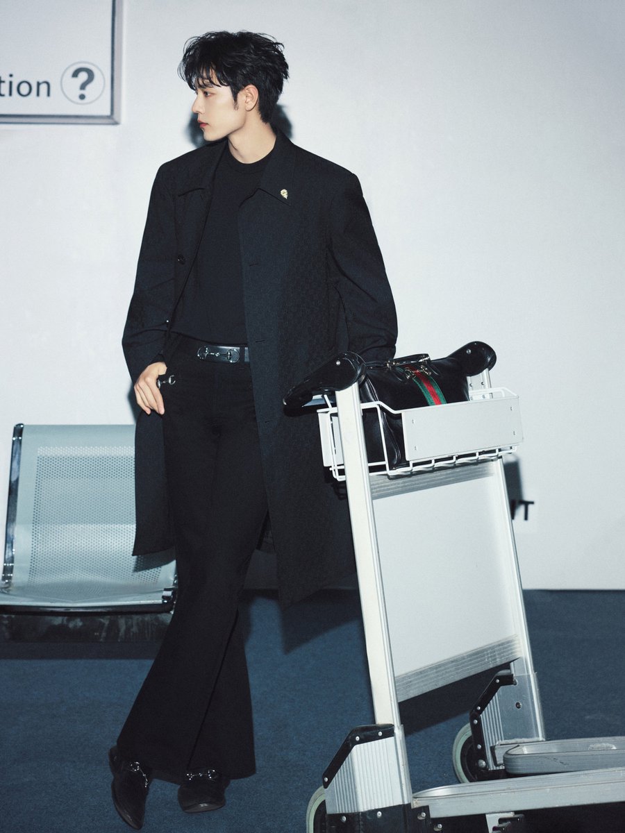 いつも画像を2枚選んでるけど、あれもこれも かっこいいわ、かわいいわ