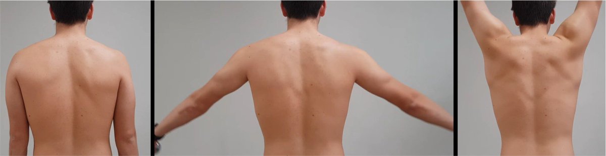 Physio Meets Science tweet media