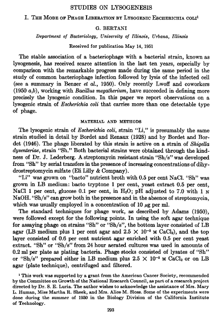 Niko McCarty. tweet media