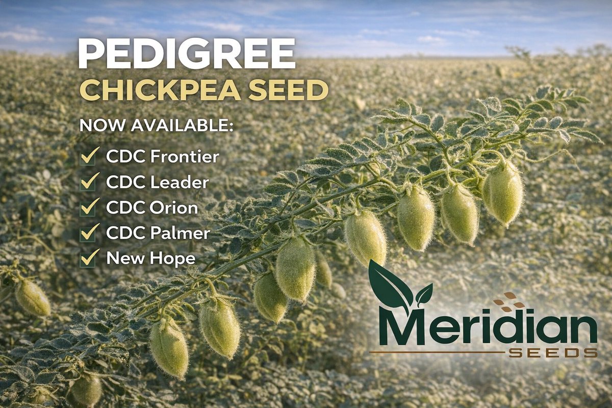 Meridian Seeds tweet media