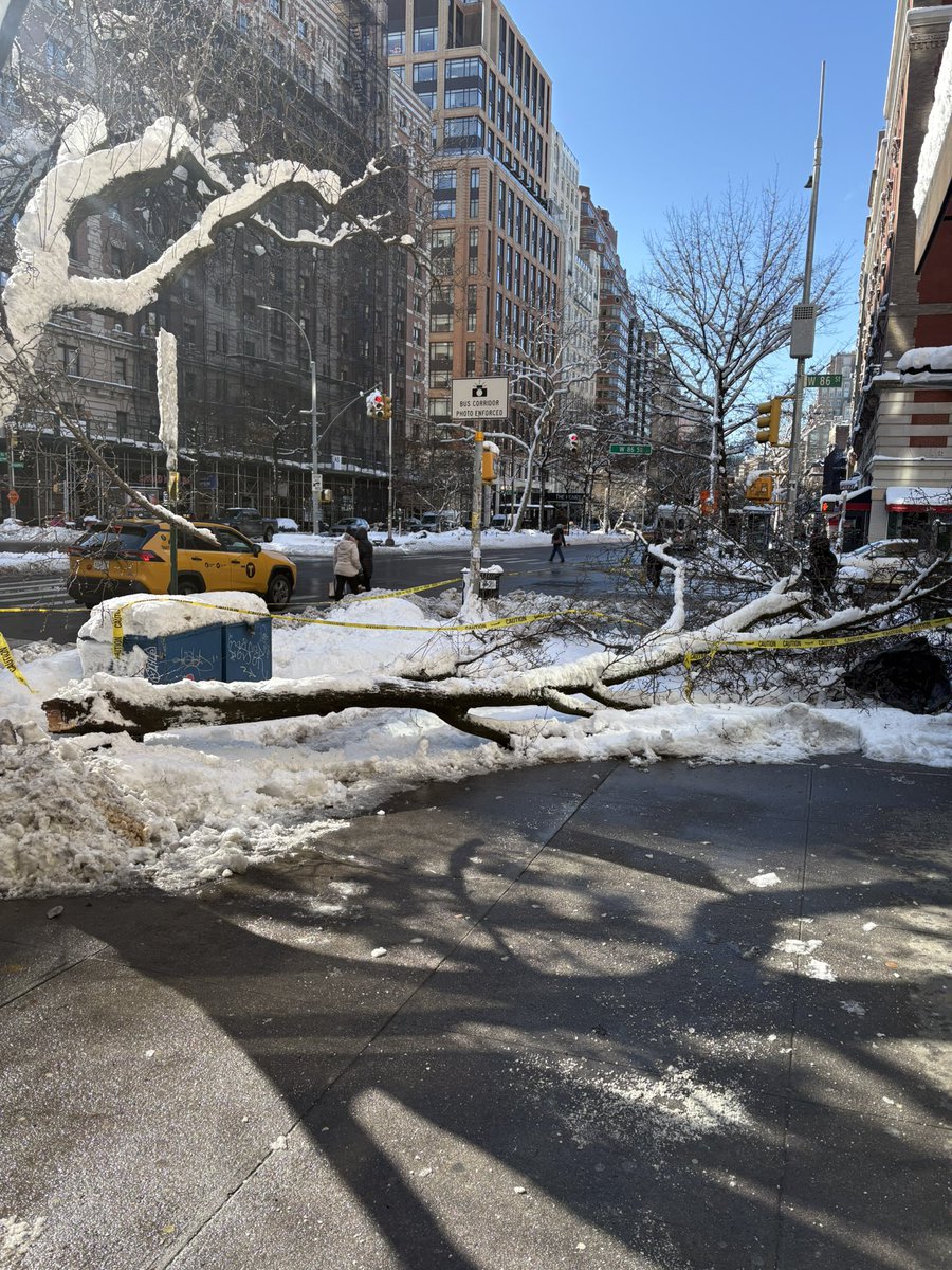 SullivanSaysSoCal tweet media