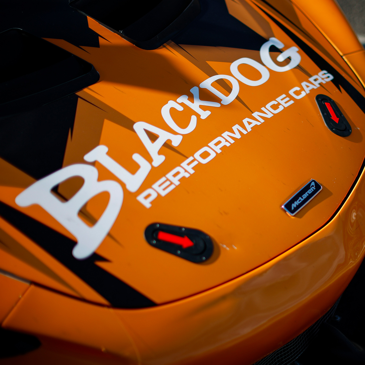 Blackdog Performance Cars tweet media