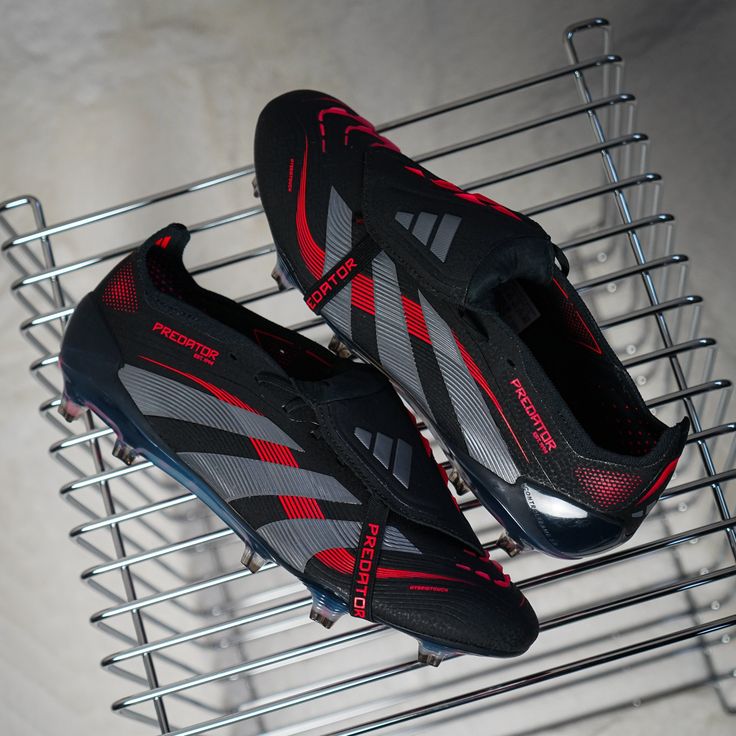 DAVID PETER tweet media