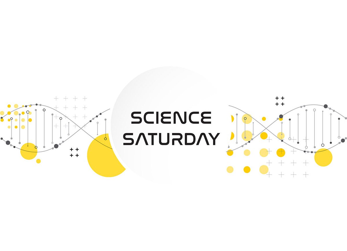 Children's Museum of Memphis tweet media