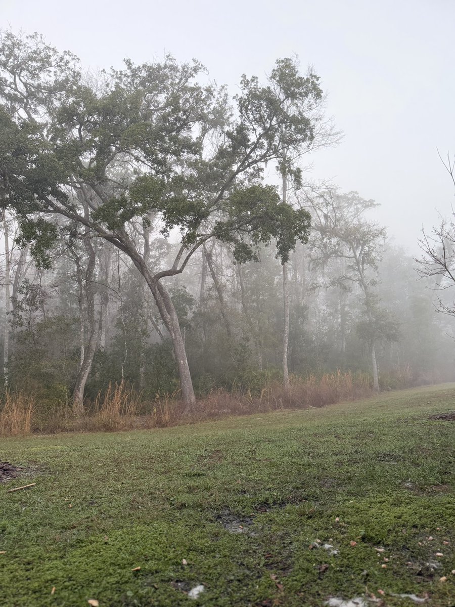 Ꮶ𝖆𝖊𝖇𝖗𝖎𝖊 tweet media