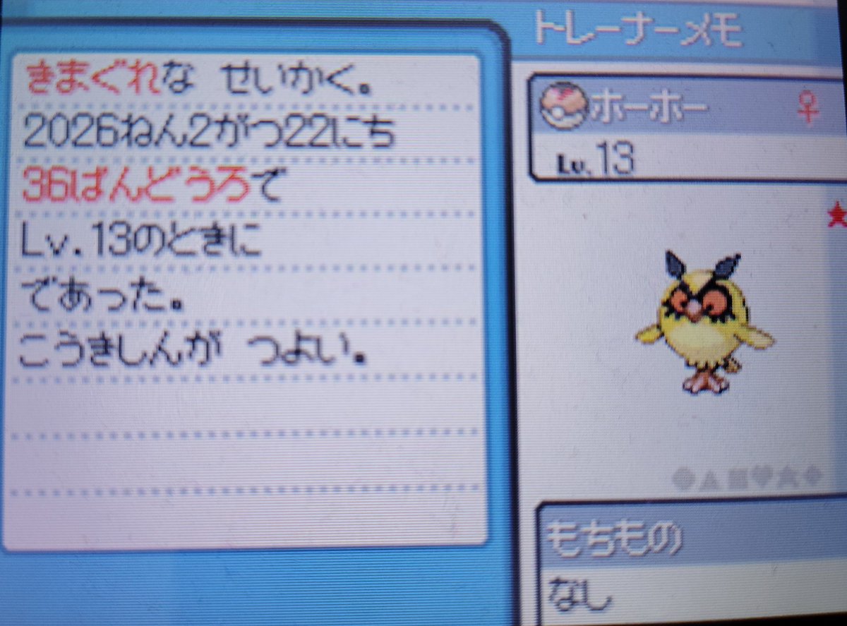 三鳥が揃ってしまいました()