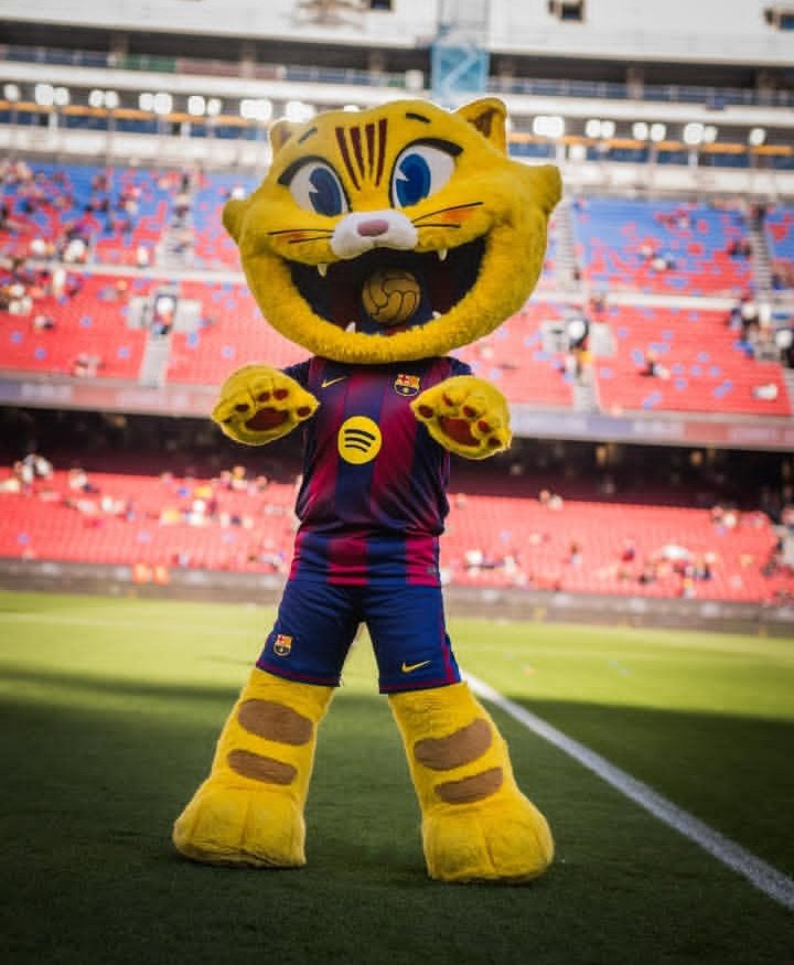 Gaudint d'una Altra victòria a l'Spotify Camp Nou! 😽✨.