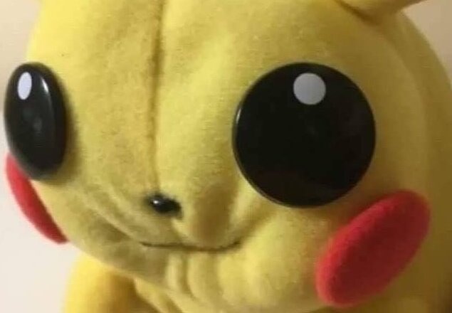 Shuppy! (Shark & Dog) tweet media