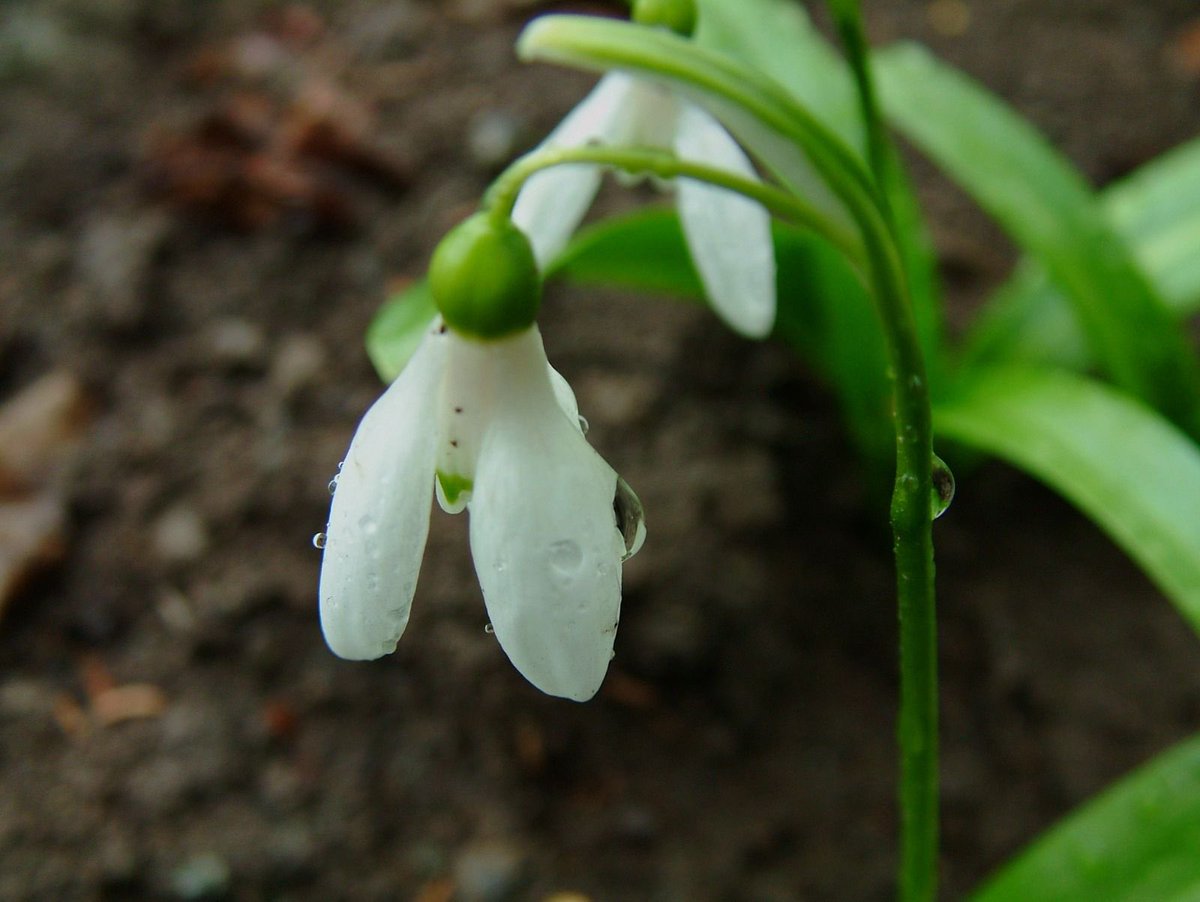 Oğuz Kurdoğlu tweet media