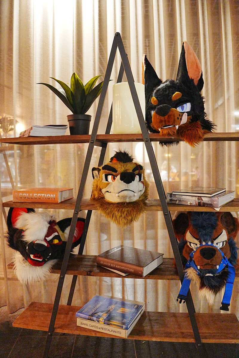 Jessy ⛓️🐾🎈 tweet media