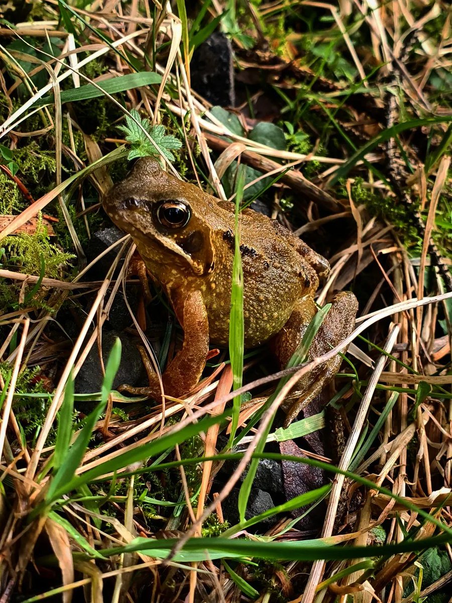 PP 🐼🍀📸🍃 tweet media