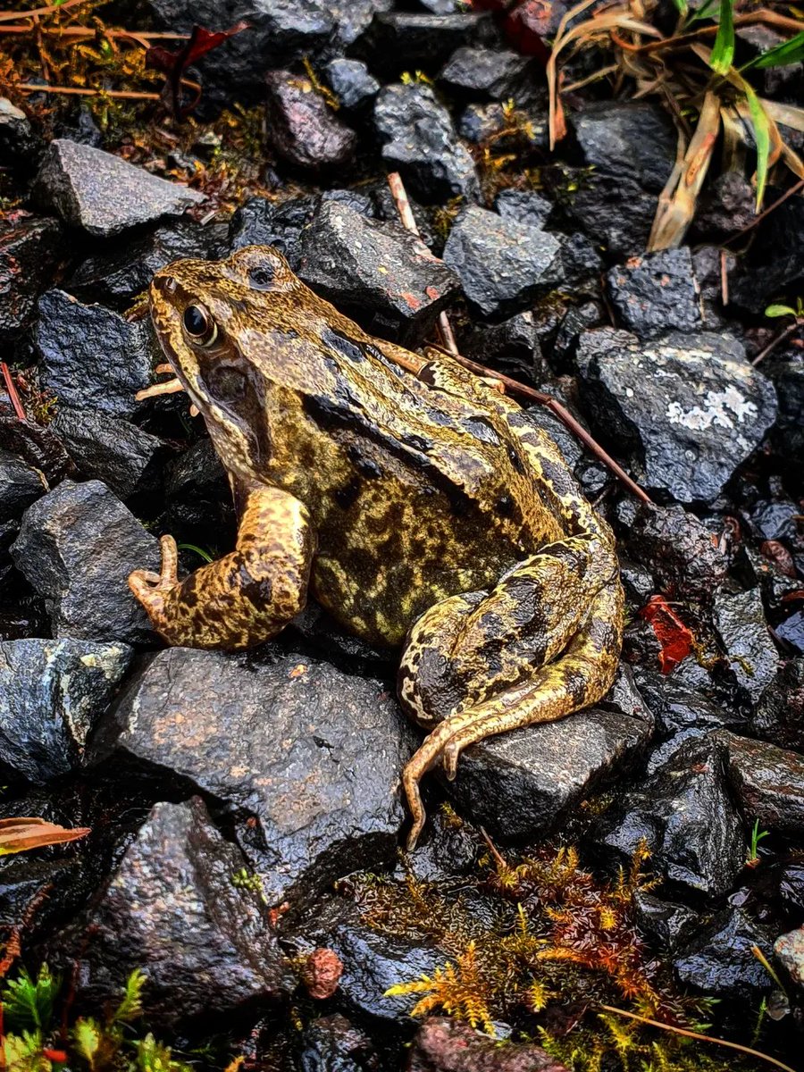 PP 🐼🍀📸🍃 tweet media