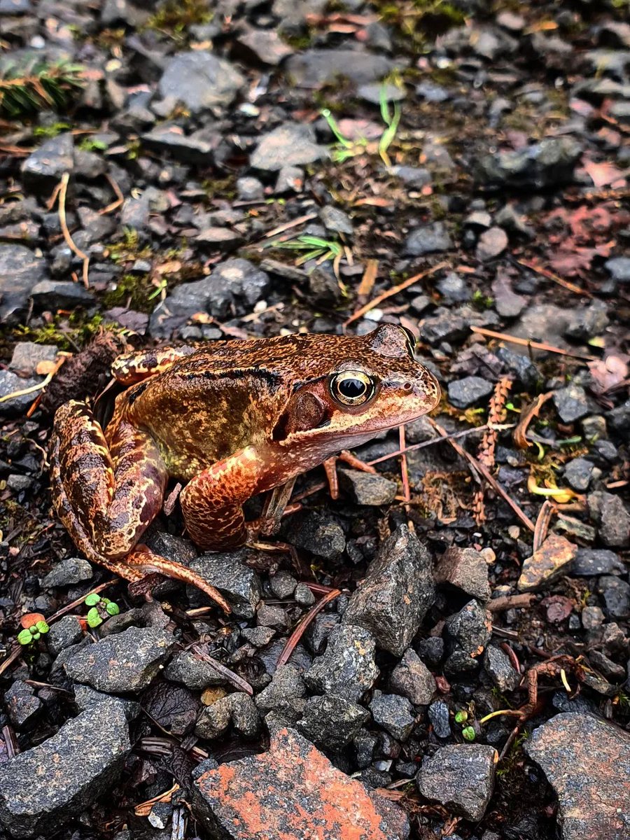 PP 🐼🍀📸🍃 tweet media