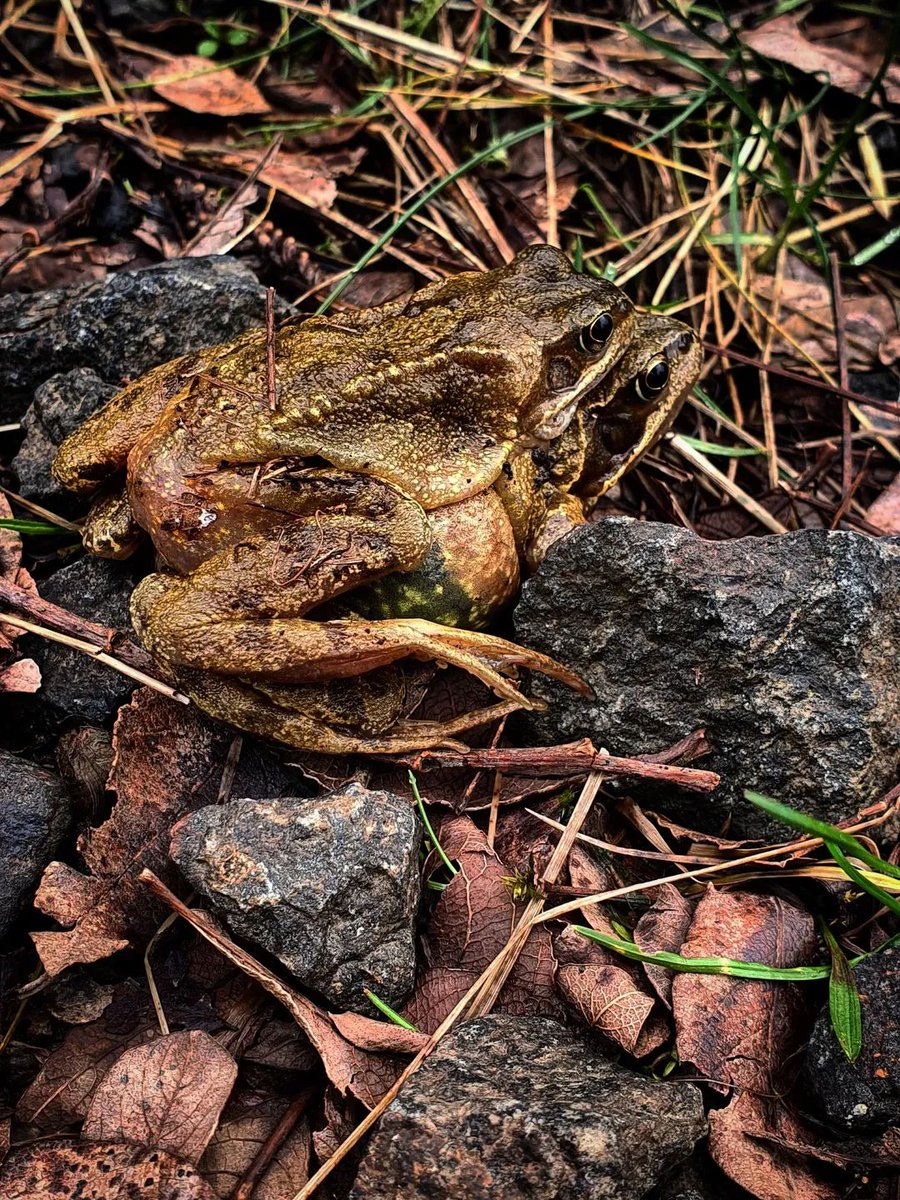 PP 🐼🍀📸🍃 tweet media