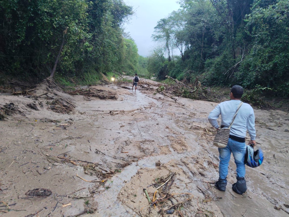 Idinael Fernández C. tweet media