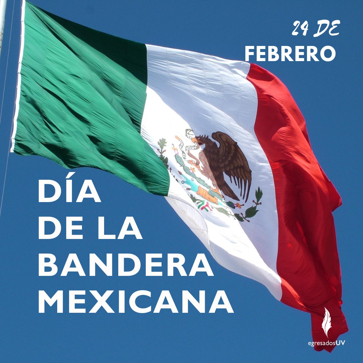 💚💙#EgresadoUV hoy celebramos el Día de la Bandera 🇲🇽✨
Nuestra bandera es símbolo de identidad, historia y esperanza. 💚🤍❤️