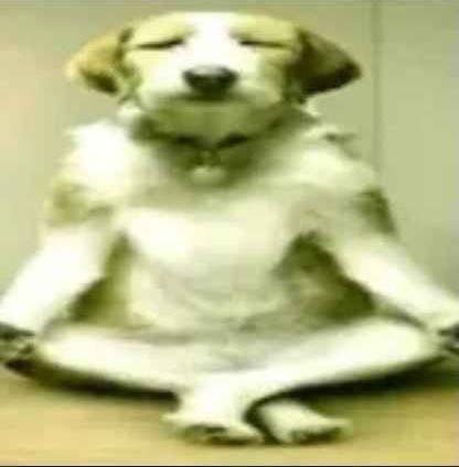 baldclara's tweet image. eu vou conseguir vaga em todas as optativas que eu quero e o site da uff nao vai me derrubar #manifestando